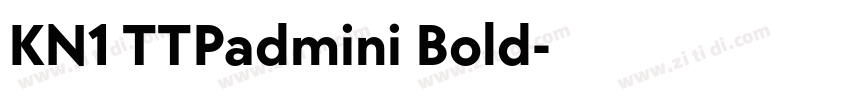 KN1 TTPadmini Bold字体转换